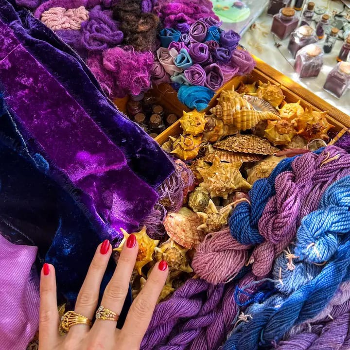 Authentic Tyrian purple fabrics dyed with Murex snail pigment