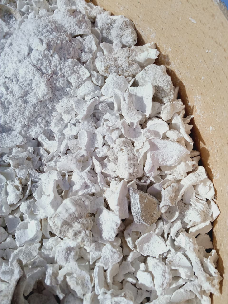 Fine white Murex shell powder