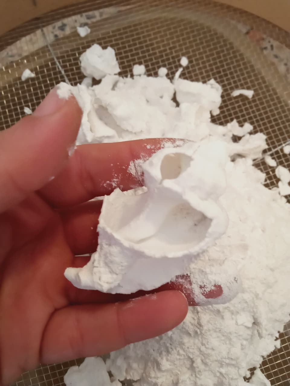 Crushed Murex shells