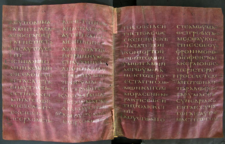 Codex Purpureus Petropolitanus — 6th century